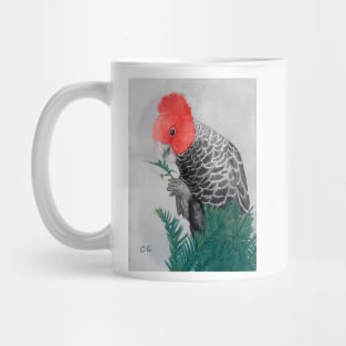 Australian Gang Gang Parrot painting Mug